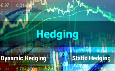 Importance of Option Hedging along with forward hedging